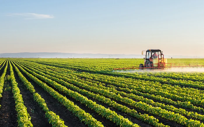 Lire la suite à propos de l’article Les Ouvriers Agricoles Roumains : Acteurs Essentiels de l’Agriculture Européenne